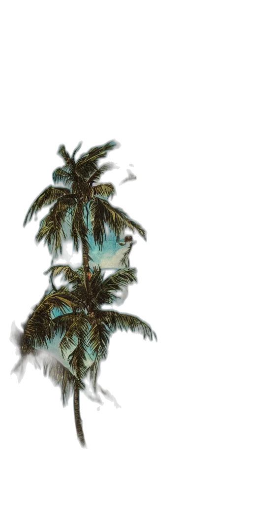 tree, hair, umbrella, creature transparent PNG cut-out