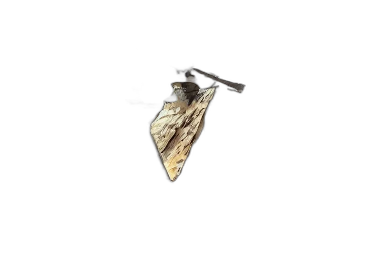 jewelry, umbrella, sword, staff transparent PNG cut-out