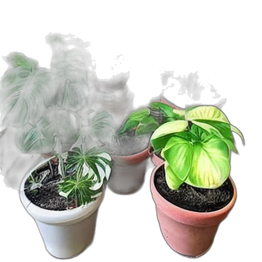 3d render, photorealistic, house, plants transparent PNG cut-out