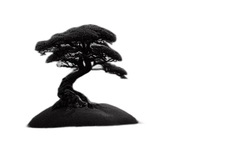 tree, crown, hair, hat transparent PNG cut-out