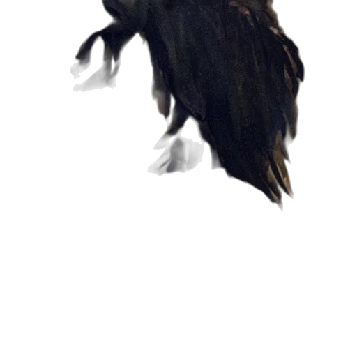 animal, creature, dragon, hair transparent PNG cut-out