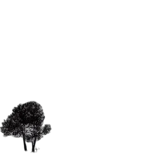 tree, animal, umbrella, crown transparent PNG cut-out