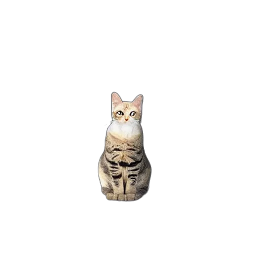 animal, creature, staff, robot transparent PNG cut-out