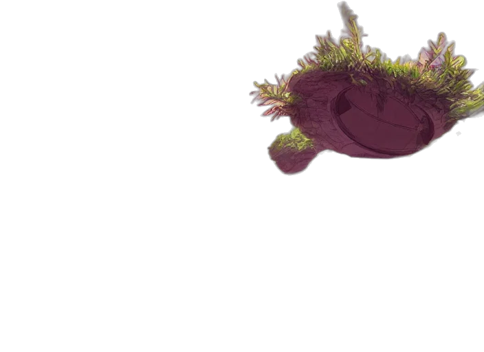 creature, crown, flower, dragon transparent PNG cut-out