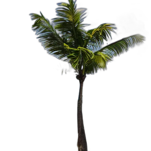 tree, umbrella, staff, hair transparent PNG cut-out