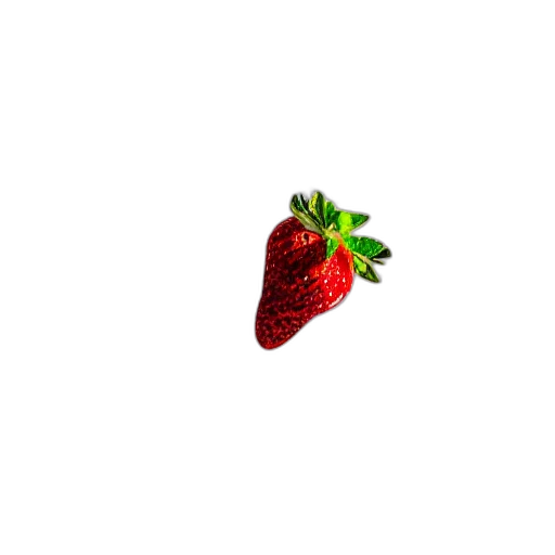 food, hat, animal, creature transparent PNG cut-out