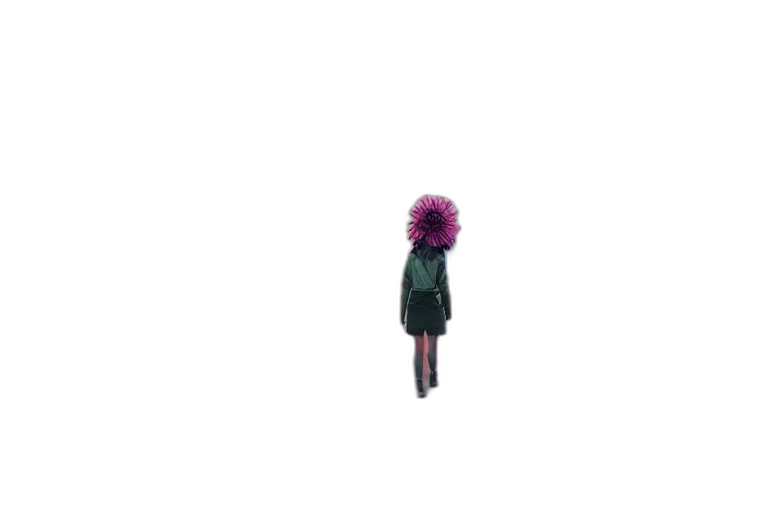 dress, hair, jacket, creature transparent PNG cut-out