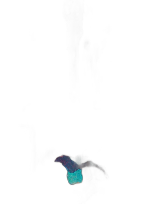 staff, dragon, creature, umbrella transparent PNG cut-out