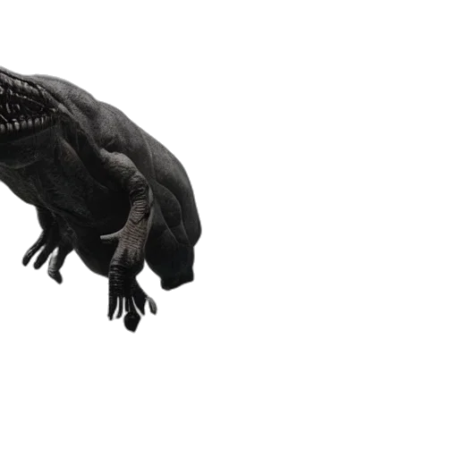 creature, dragon, animal, hat transparent PNG cut-out