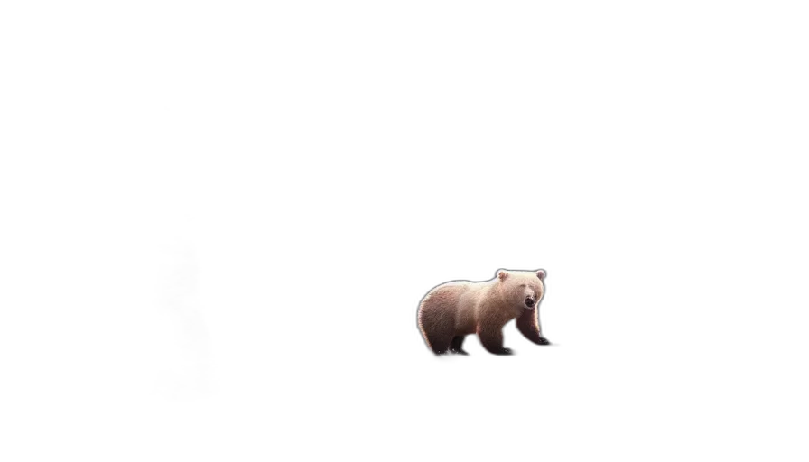 animal, creature, furniture, hair transparent PNG cut-out