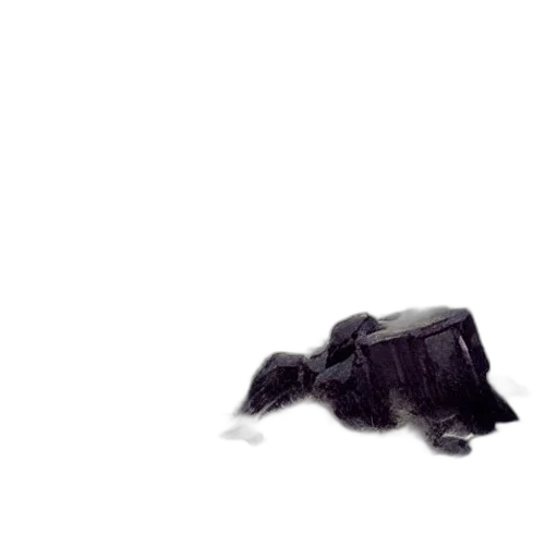 animal, creature, hair, shoes transparent PNG cut-out