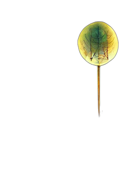 umbrella, staff, flower, weapon transparent PNG cut-out