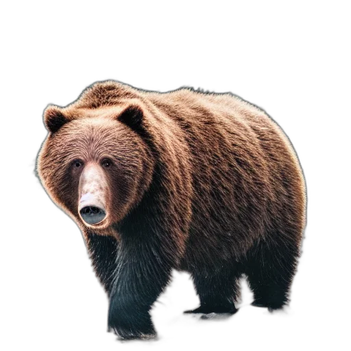 animal, creature, face, staff transparent PNG cut-out