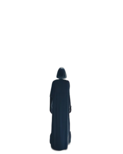 dress, staff, jacket, sword transparent PNG cut-out