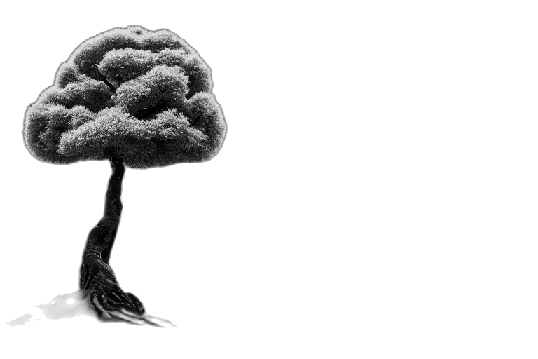 tree, crown, hat, hair transparent PNG cut-out
