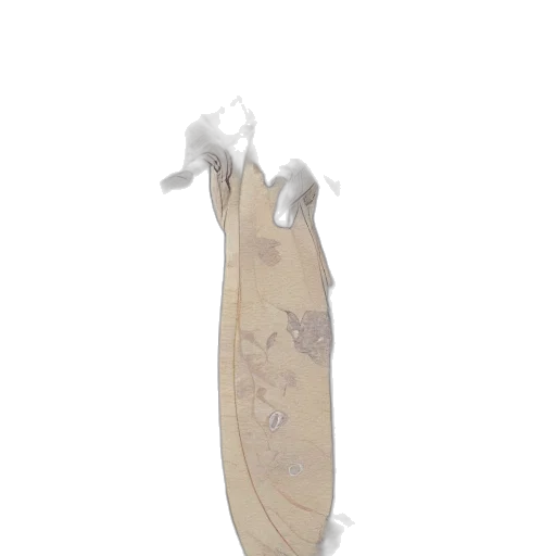 weapon, sword, dress, bottle transparent PNG cut-out