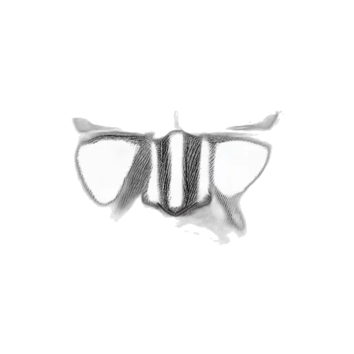 mask, jewelry, crown, shoes transparent PNG cut-out