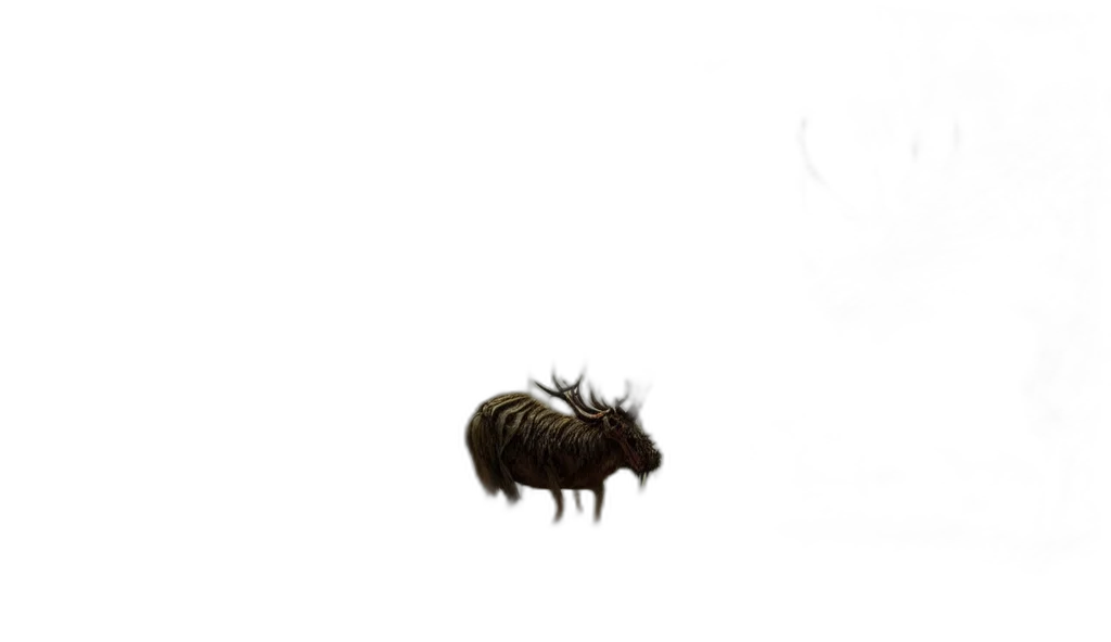 animal, creature, dragon, hair transparent PNG cut-out