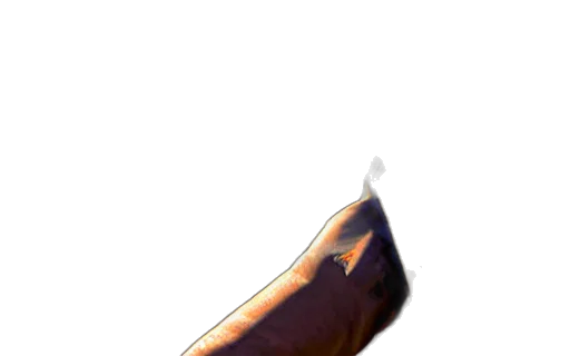 weapon, staff, food, sword transparent PNG cut-out