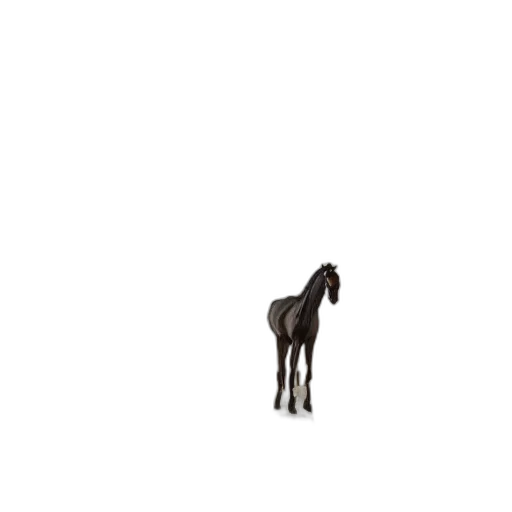 animal, creature, hair, furniture transparent PNG cut-out