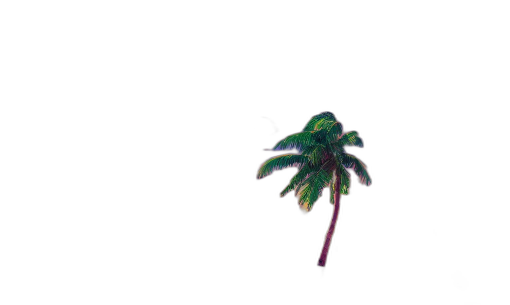 tree, umbrella, hat, hair transparent PNG cut-out