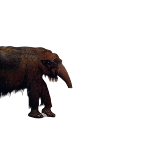animal, creature, hair, staff transparent PNG cut-out