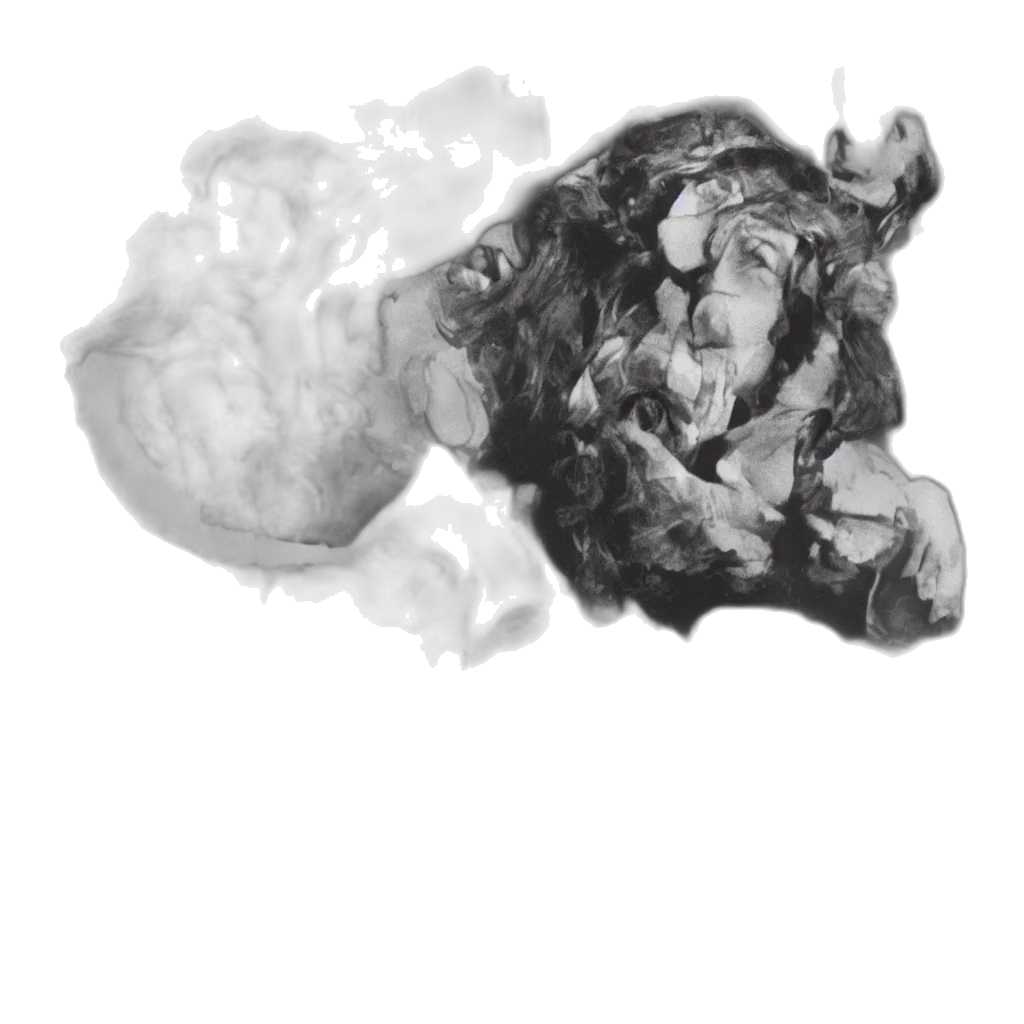 dragon, creature, mask, face transparent PNG cut-out