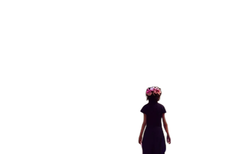 dress, crown, hat, flower transparent PNG cut-out