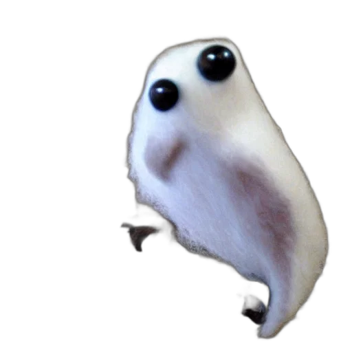 creature, animal, face, mask transparent PNG cut-out