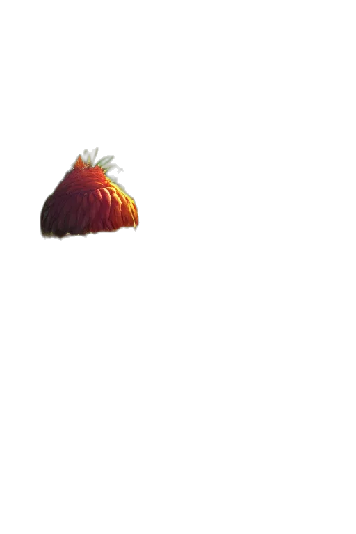 food, crown, creature, hat transparent PNG cut-out