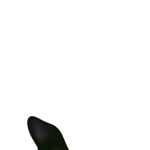 staff, animal, creature, shoes transparent PNG cut-out