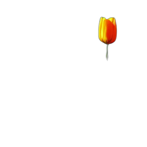 flower, staff, umbrella, food transparent PNG cut-out
