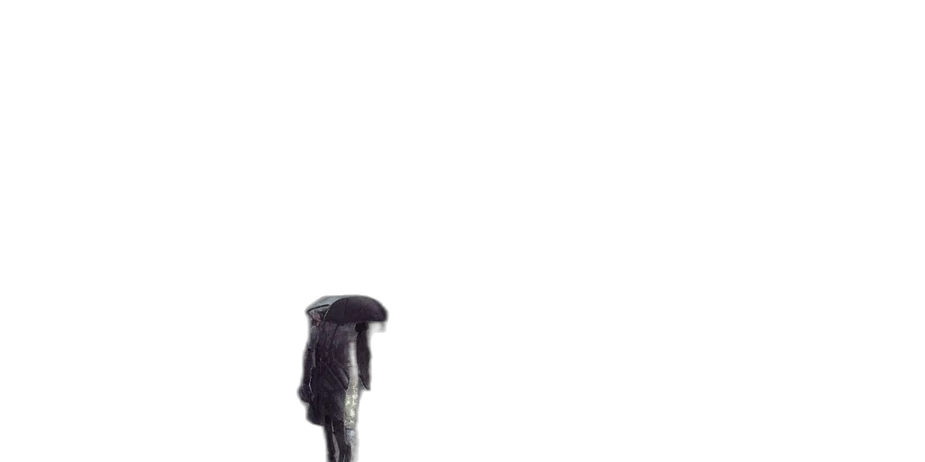 umbrella, staff, hair, dress transparent PNG cut-out