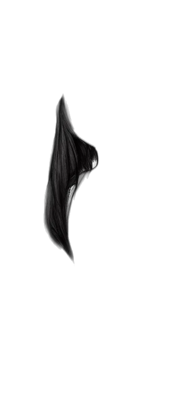 hair, mask, umbrella, creature transparent PNG cut-out