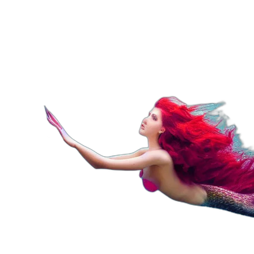 hair, creature, dress, animal transparent PNG cut-out