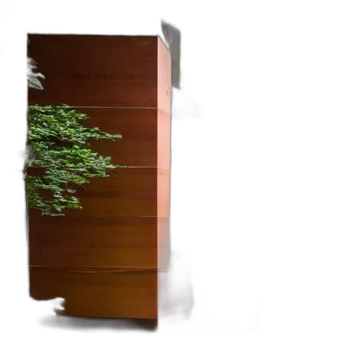 furniture, tree, 3d render, photorealistic transparent PNG cut-out