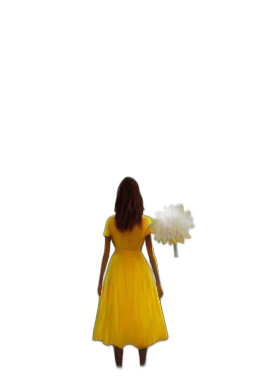 dress, crown, flower, umbrella transparent PNG cut-out
