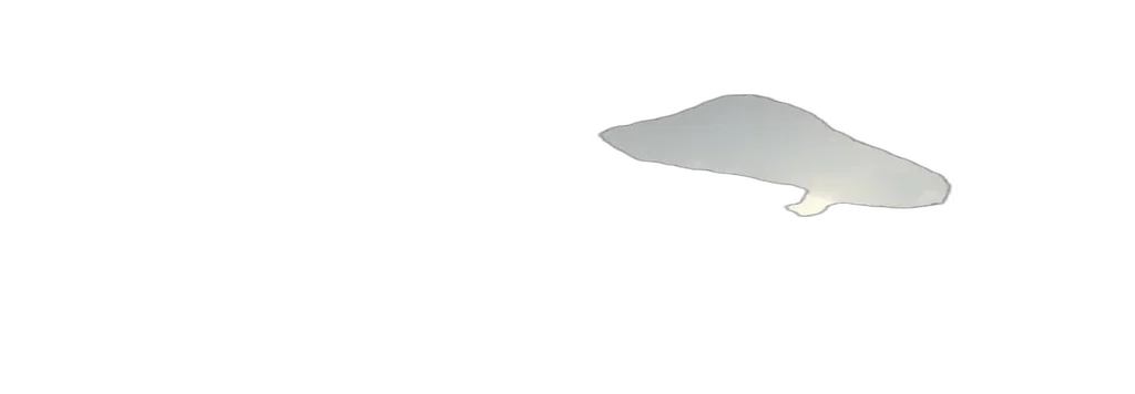 sword, weapon, umbrella, staff transparent PNG cut-out