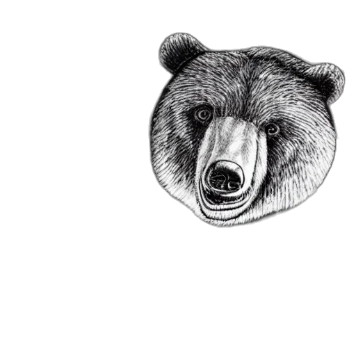 animal, face, creature, mask transparent PNG cut-out