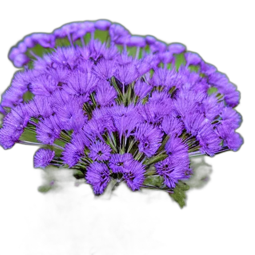 crown, flower, jewelry, staff transparent PNG cut-out