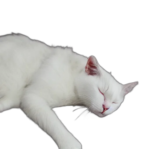 animal, staff, creature, face transparent PNG cut-out