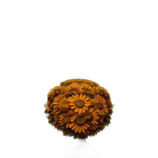 flower, crown, hair, hat transparent PNG cut-out