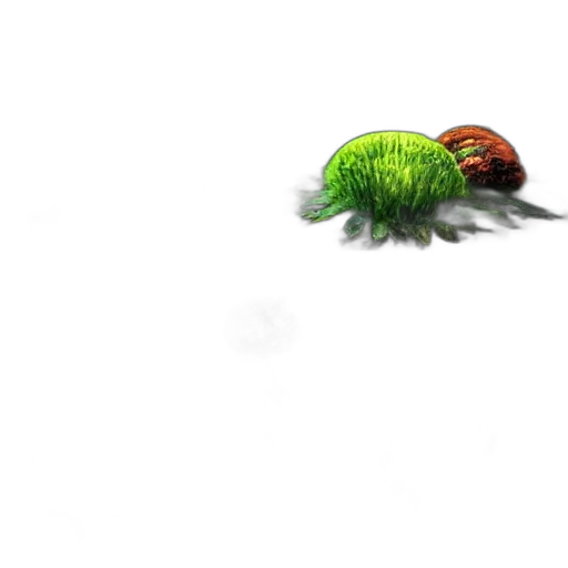 creature, animal, food, hair transparent PNG cut-out