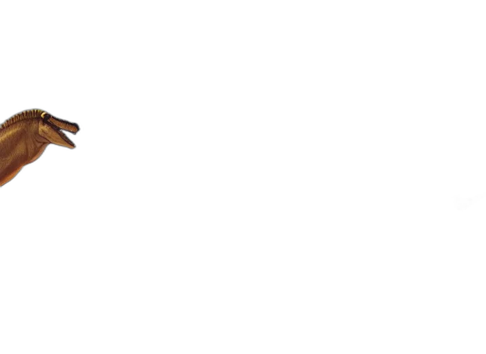 staff, furniture, animal, hair transparent PNG cut-out