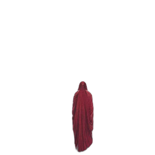 dress, jacket, umbrella, mask transparent PNG cut-out