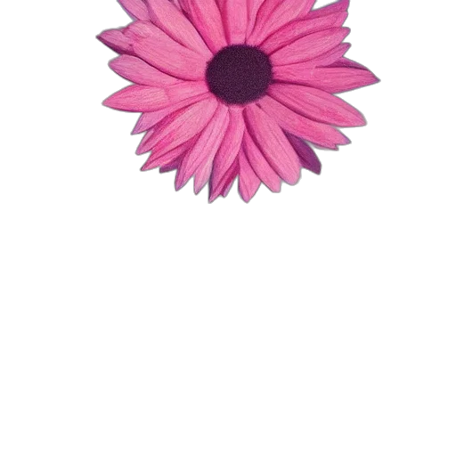 flower, jewelry, crown, staff transparent PNG cut-out