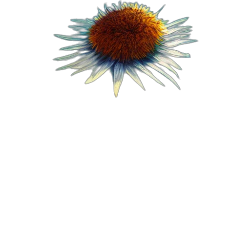 flower, staff, crown, weapon transparent PNG cut-out