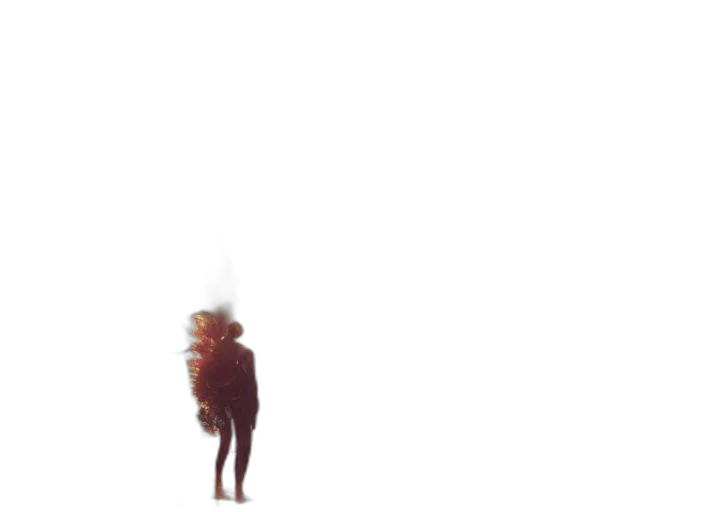 creature, animal, hair, crown transparent PNG cut-out