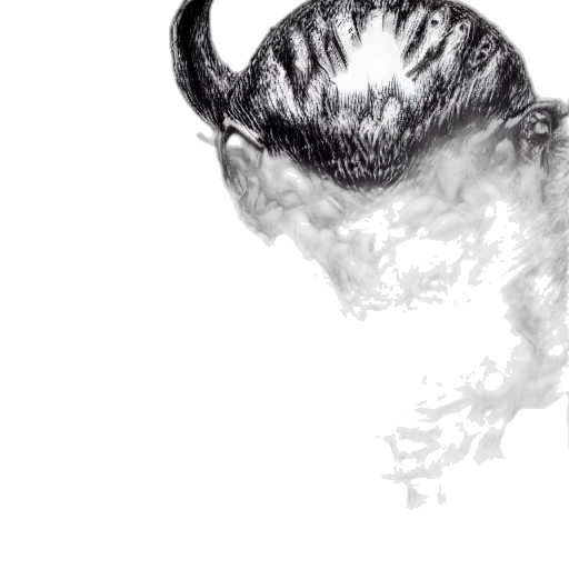 dragon, mask, face, crown transparent PNG cut-out