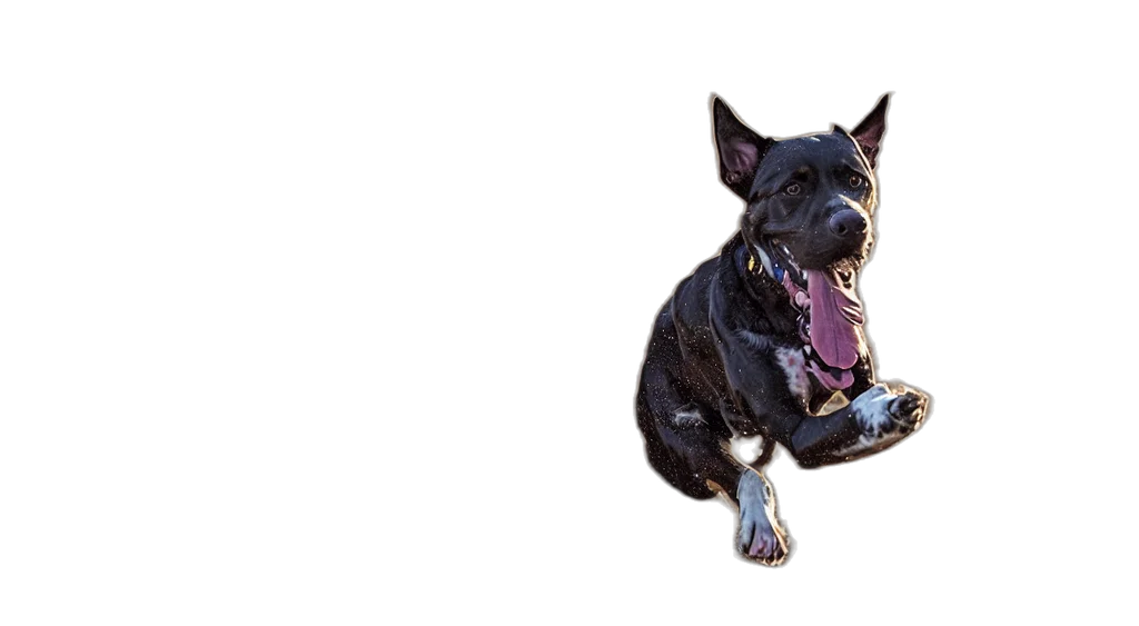 animal, creature, staff, dragon transparent PNG cut-out